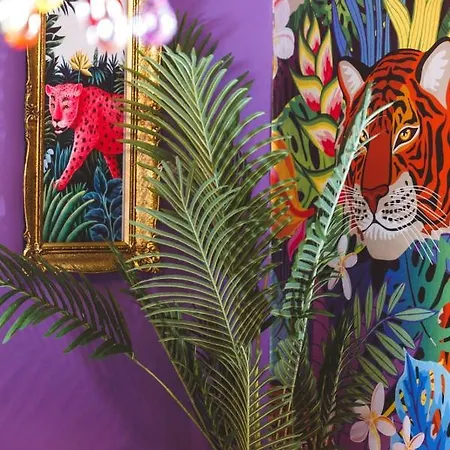 Apartment Mio Golubac