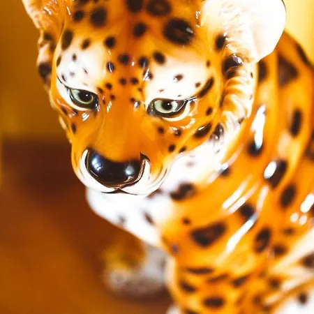 Mio Apartment Golubac